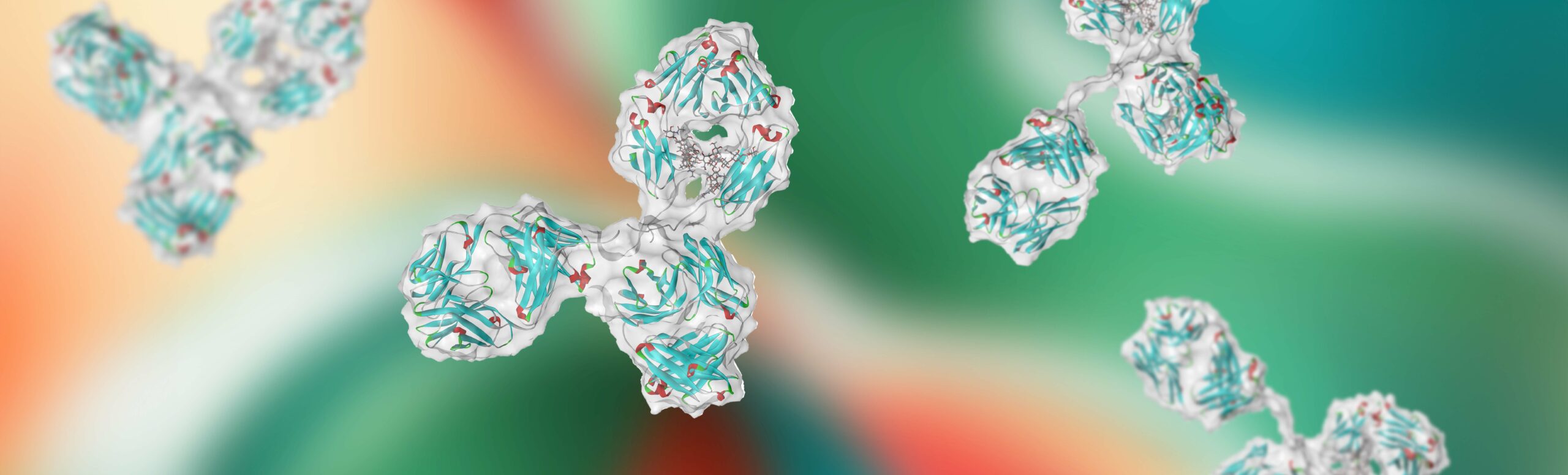 Probing Antibody conformation and interactions with SAXS: Effects of Concentration and Salt